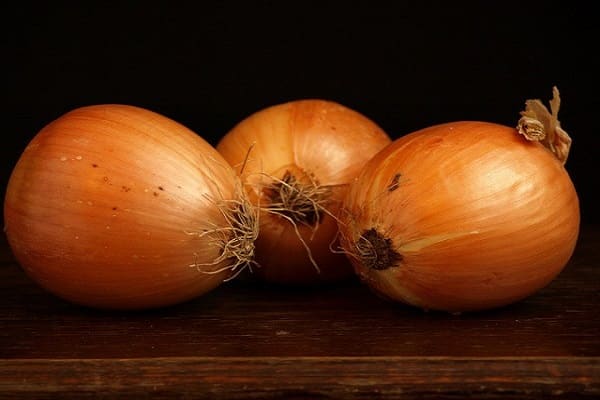 onions of Shetan