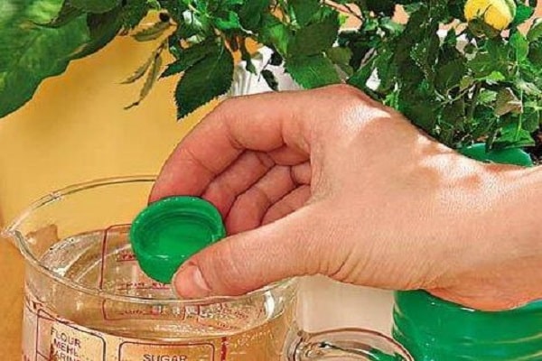dilute ammonia