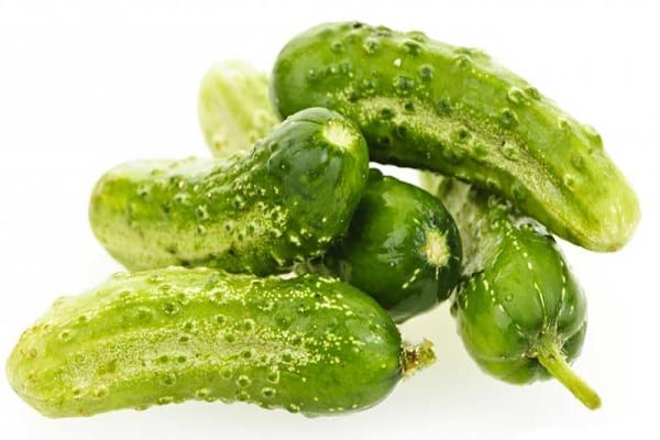raccolta delle verdure