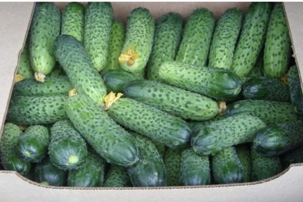 تجنب العدوى