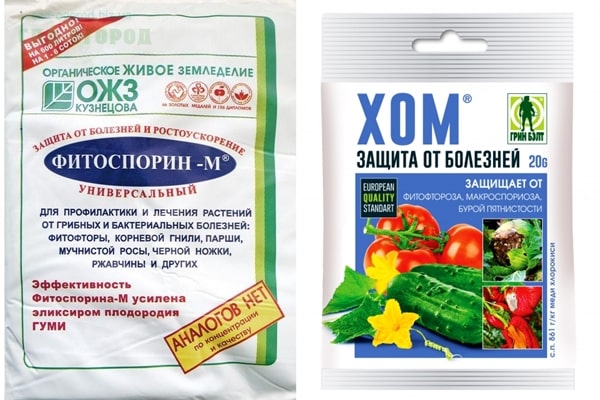 Hom και φυτοσπορίνη