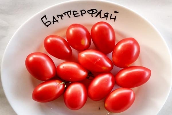малки домати
