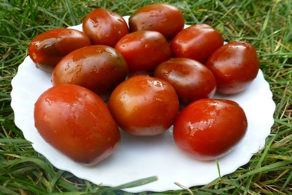 Tomatenpflaume