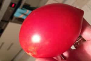 Description of the tomato variety Darenka, features of cultivation and care