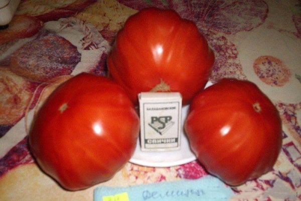 плоско-кръгла форма