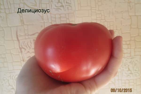 средна плътност