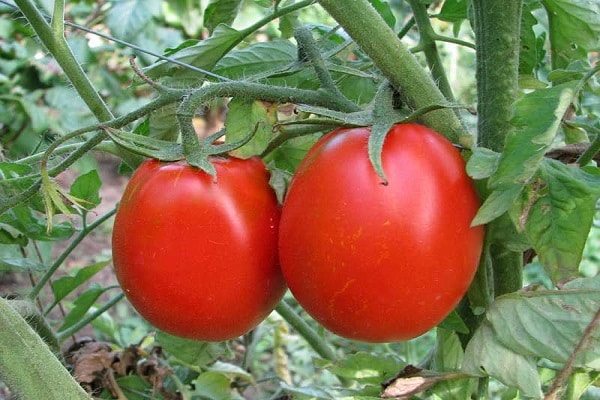 gewellte Form