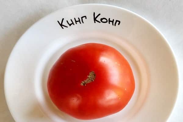 сорт домати