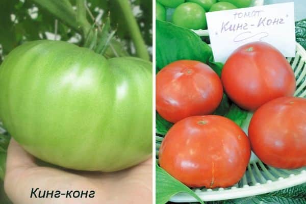 премахване на тревата