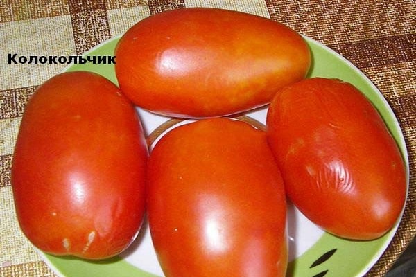 доматено звънец