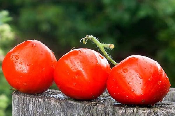 продукция за отглеждане
