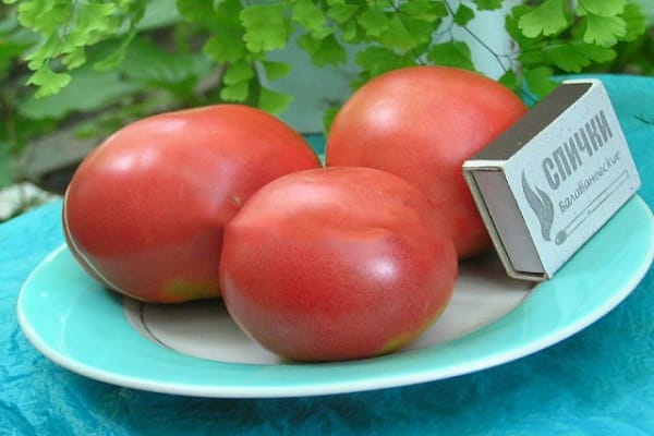 сладък домат