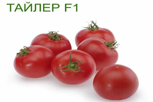 зрели зеленчуци