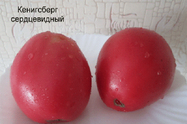 конигсберг у облику срца
