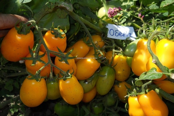 амулет из Украјине