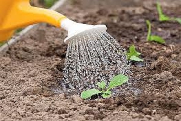 watering mode