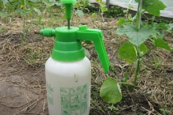 most insecticides
