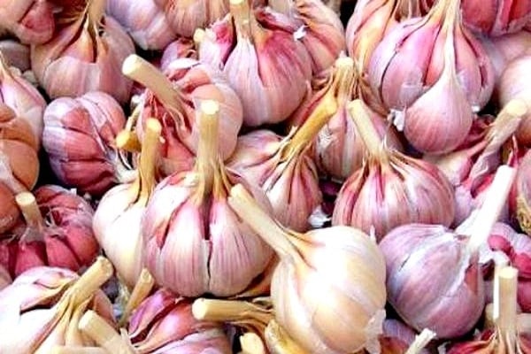 Knoblauch mit Eigenschaften