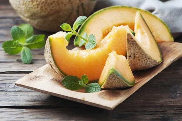 melon bladlöss
