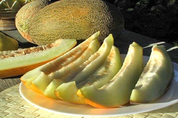 du kannst nicht essen