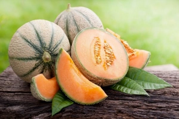 Melonenpulpe