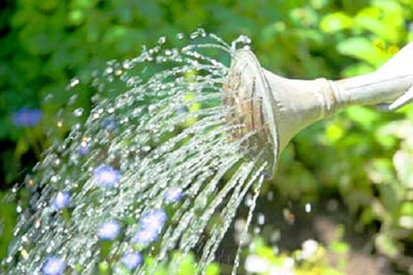 потреба за водом