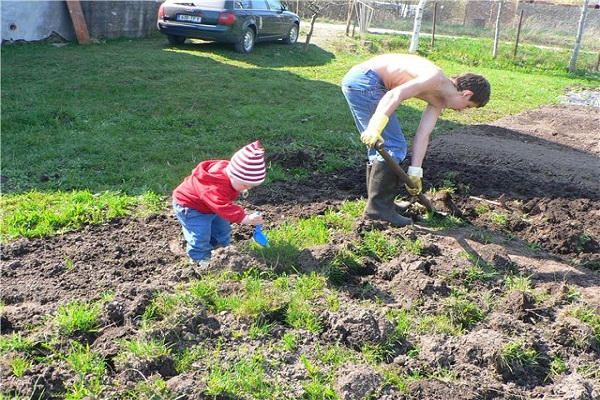 jord til plantning