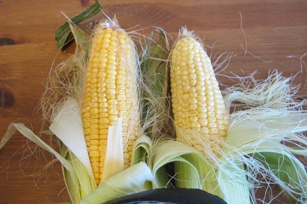 farba semien