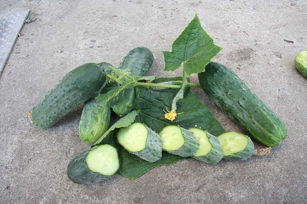 lợi thế đa dạng
