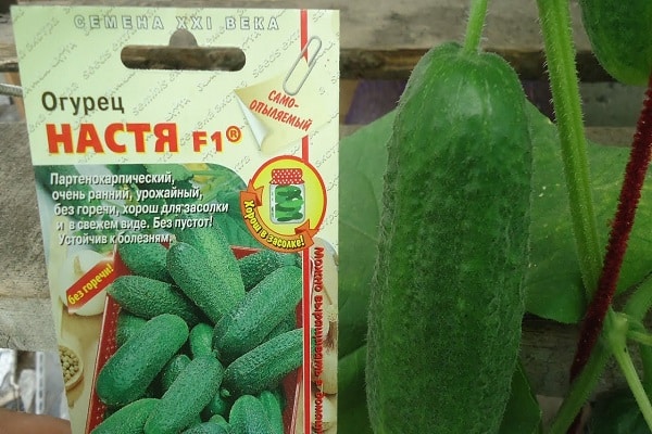 краставац сорта
