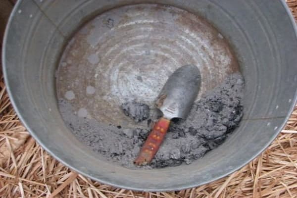 Pflanzenkrankheiten