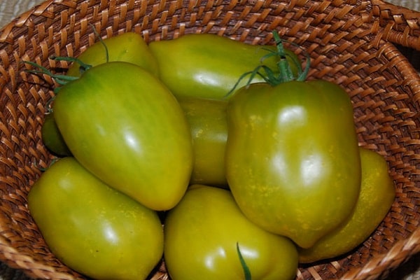grünes Chili