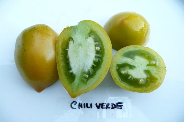 Tomatensorte