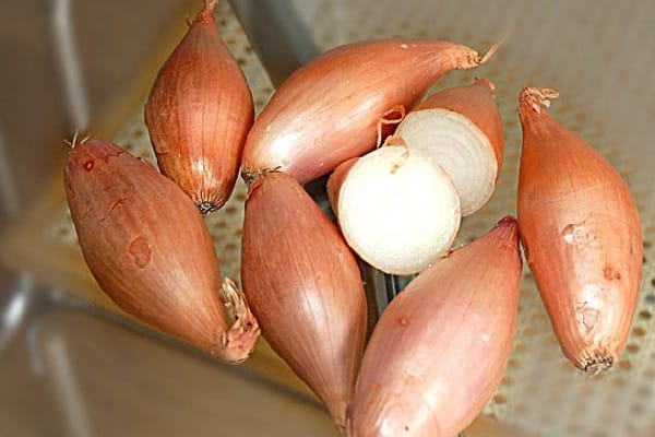 киселост тла