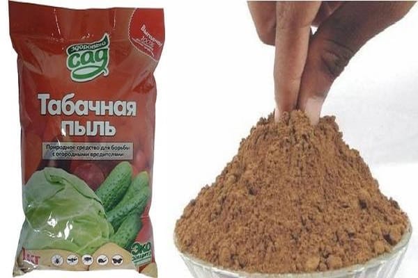 φοράτε αναπνευστήρα