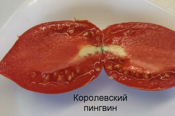 растителна детерминанта