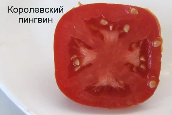 средносрочния