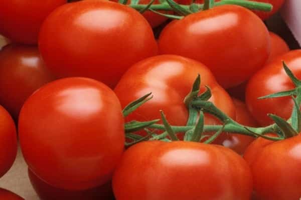 топло място