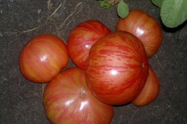 Herstellerbeschreibungen