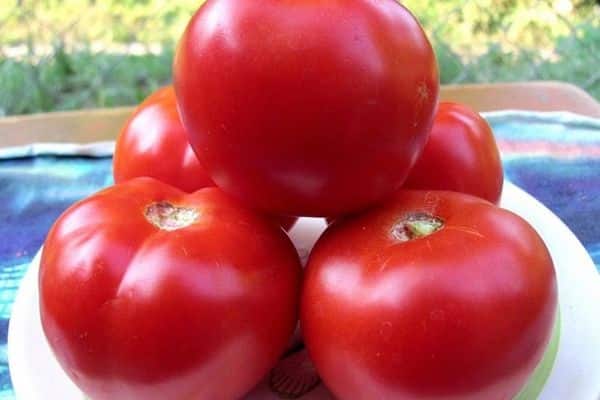 плодотворно и вкусно