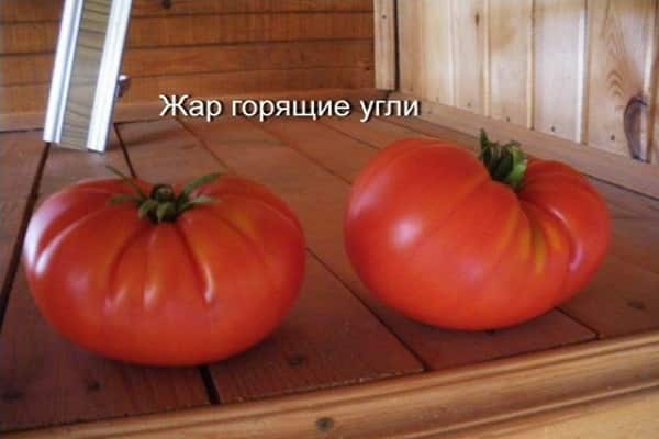 многобройни отзиви