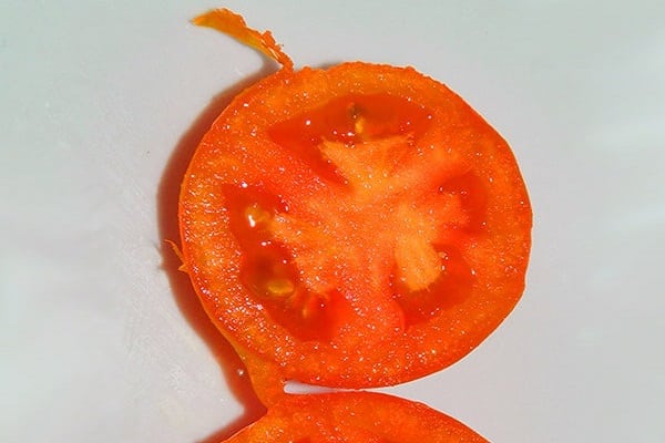 بذور الزرع