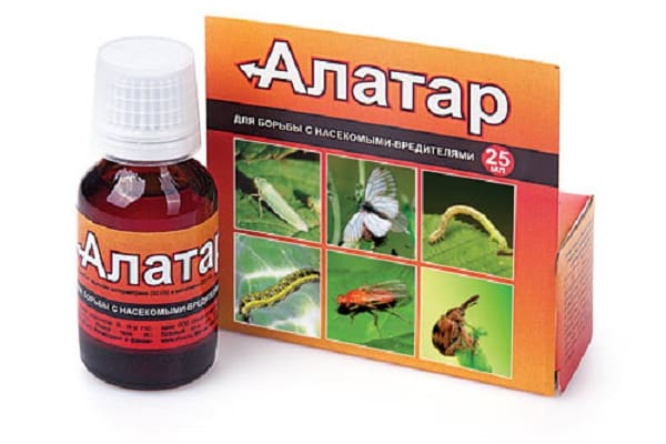 такве дроге