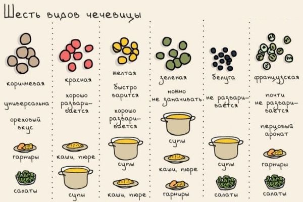 видове леща