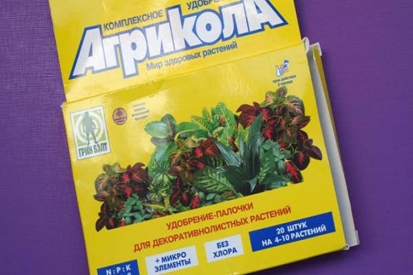Agricola's composition