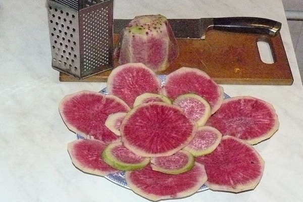 odrody daikon