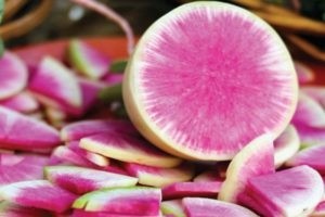 Beskrivning av daikonsorten Misato Pink glitter, funktioner för odling och vård