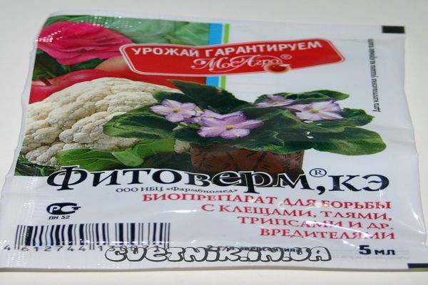 Phytoverma-Medikament