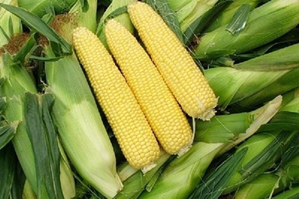 Pick Cobs