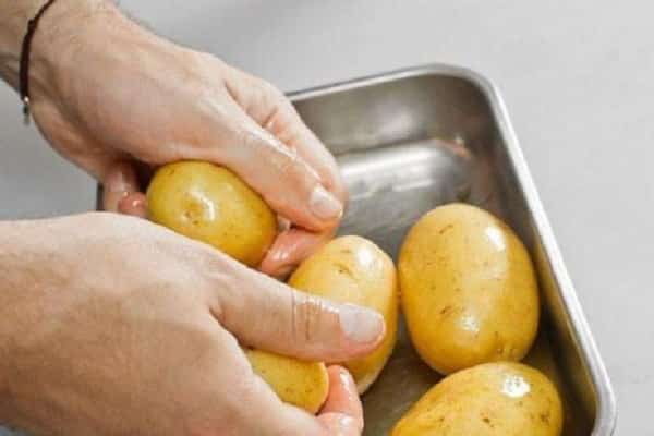 пръскане на храсти